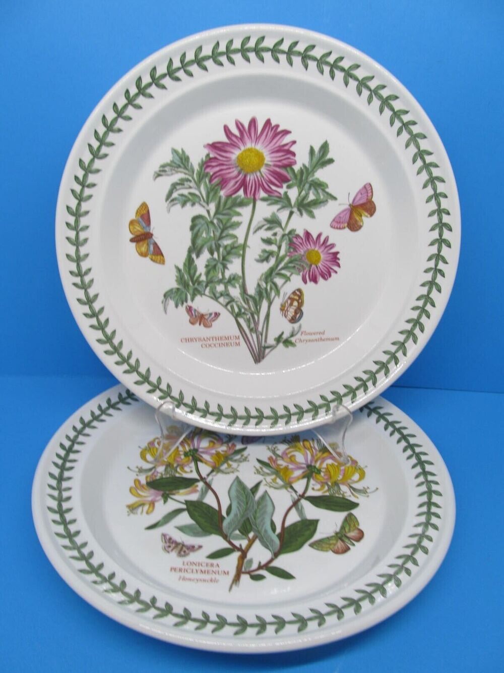 Portmeirion Chrysanthemum And Lonicera Set Of 2 Floral 10 1/2" Dinner Plates VGC